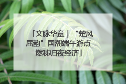 文脉华章｜“楚风屈韵”国潮端午游点燃秭归夜经济