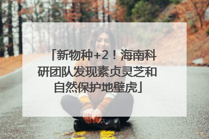 新物种+2！海南科研团队发现素贞灵芝和自然保护地壁虎