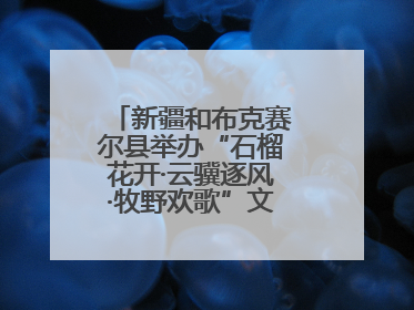 新疆和布克赛尔县举办“石榴花开·云骥逐风·牧野欢歌”文化演出季活动
