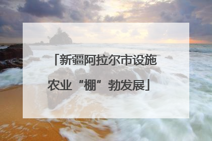 新疆阿拉尔市设施农业“棚”勃发展