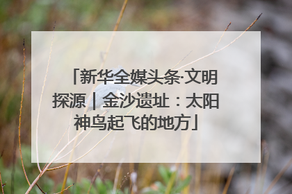 新华全媒头条·文明探源｜金沙遗址：太阳神鸟起飞的地方