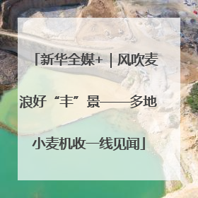 新华全媒+｜风吹麦浪好“丰”景——多地小麦机收一线见闻