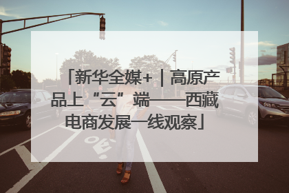 新华全媒+｜高原产品上“云”端——西藏电商发展一线观察