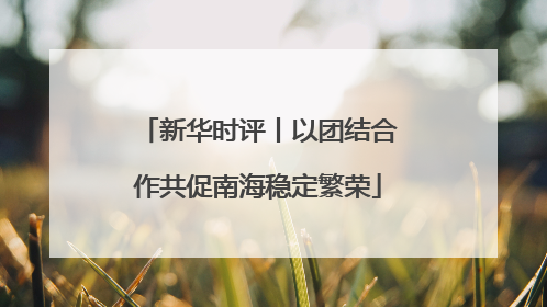 新华时评丨以团结合作共促南海稳定繁荣