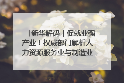 新华解码｜促就业强产业！权威部门解析人力资源服务业与制造业融合发展试点