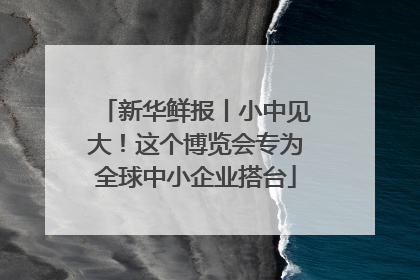 新华鲜报丨小中见大！这个博览会专为全球中小企业搭台