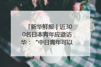 新华鲜报｜近300名日本青年应邀访华：“中日青年可以创造更好的未来”