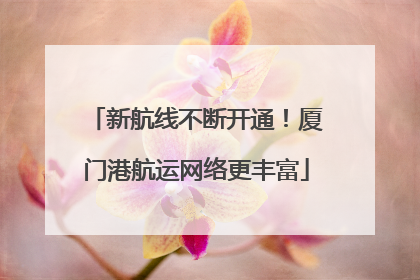 新航线不断开通！厦门港航运网络更丰富