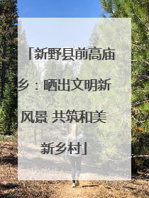 新野县前高庙乡：晒出文明新风景 共筑和美新乡村