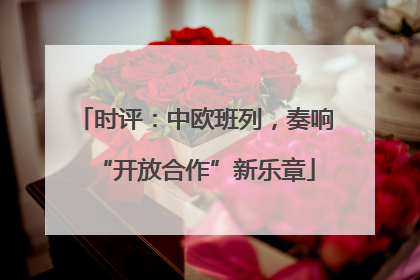 时评：中欧班列，奏响“开放合作”新乐章