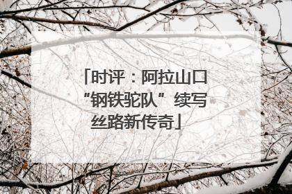 时评：阿拉山口“钢铁驼队”续写丝路新传奇