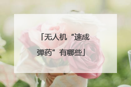 无人机“速成弹药”有哪些