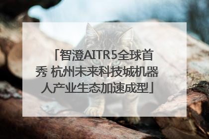 智澄AITR5全球首秀 杭州未来科技城机器人产业生态加速成型