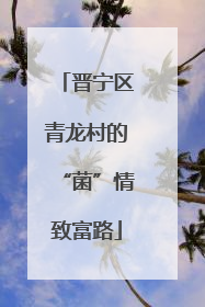 晋宁区青龙村的“菌”情致富路