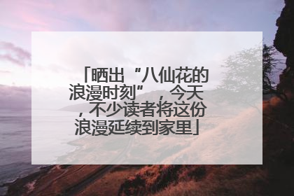 晒出“八仙花的浪漫时刻”，今天，不少读者将这份浪漫延续到家里