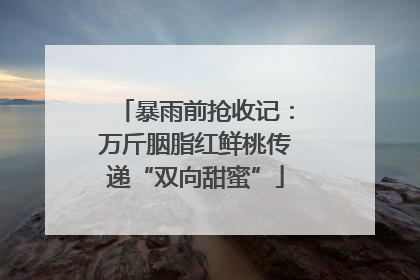 暴雨前抢收记：万斤胭脂红鲜桃传递“双向甜蜜”