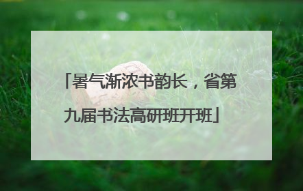 暑气渐浓书韵长，省第九届书法高研班开班
