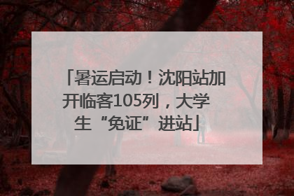 暑运启动！沈阳站加开临客105列，大学生“免证”进站
