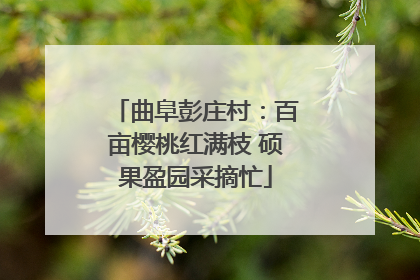 曲阜彭庄村：百亩樱桃红满枝 硕果盈园采摘忙