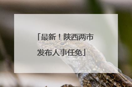 最新！陕西两市发布人事任免