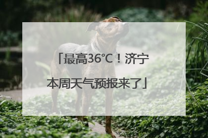 最高36℃！济宁本周天气预报来了