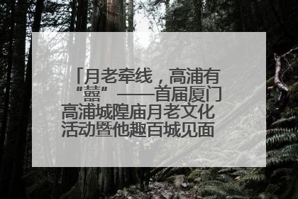 月老牵线，高浦有“囍”——首届厦门高浦城隍庙月老文化活动暨他趣百城见面会隆重举办