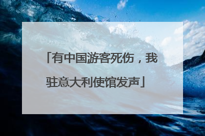 有中国游客死伤，我驻意大利使馆发声