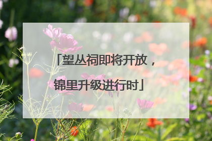 望丛祠即将开放，锦里升级进行时