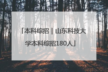 本科综招｜山东科技大学本科综招180人