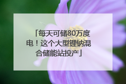 每天可储80万度电！这个大型锂钠混合储能站投产