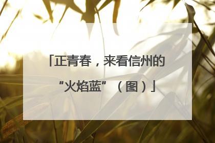 正青春，来看信州的“火焰蓝”（图）