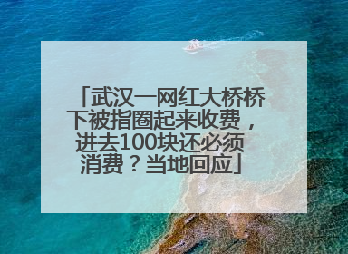 武汉一网红大桥桥下被指圈起来收费，进去100块还必须消费？当地回应