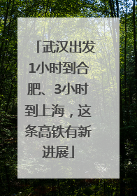 武汉出发1小时到合肥、3小时到上海，这条高铁有新进展