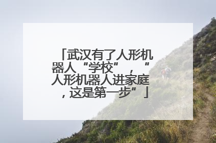 武汉有了人形机器人“学校”，“人形机器人进家庭，这是第一步”