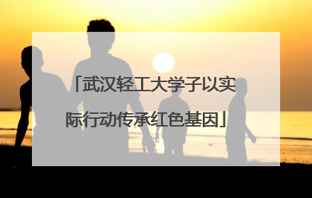 武汉轻工大学子以实际行动传承红色基因