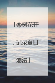 栾树花开，记录夏日浪漫