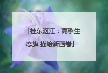 桂东沤江：高擎生态旗 描绘新画卷