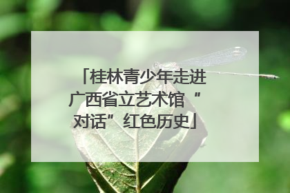 桂林青少年走进广西省立艺术馆“对话”红色历史