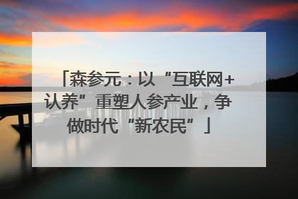 森参元：以“互联网+认养”重塑人参产业，争做时代“新农民”