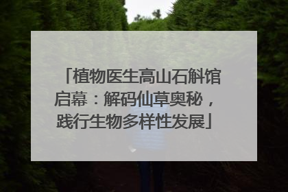 植物医生高山石斛馆启幕：解码仙草奥秘，践行生物多样性发展