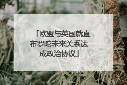 欧盟与英国就直布罗陀未来关系达成政治协议