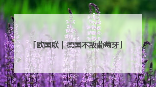 欧国联｜德国不敌葡萄牙