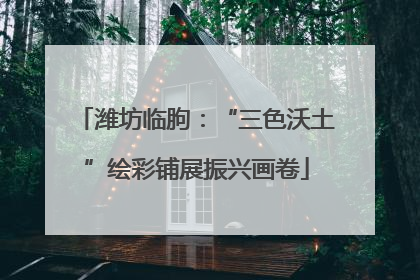 潍坊临朐：“三色沃土”绘彩铺展振兴画卷