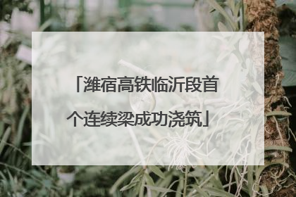潍宿高铁临沂段首个连续梁成功浇筑