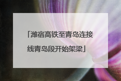 潍宿高铁至青岛连接线青岛段开始架梁