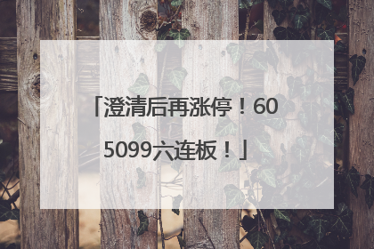 澄清后再涨停！605099六连板！