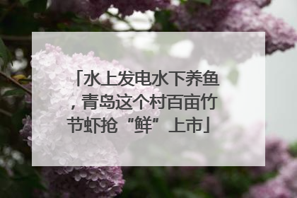 水上发电水下养鱼，青岛这个村百亩竹节虾抢“鲜”上市