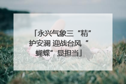 永兴气象三“精”护安澜 迎战台风“蝴蝶”显担当