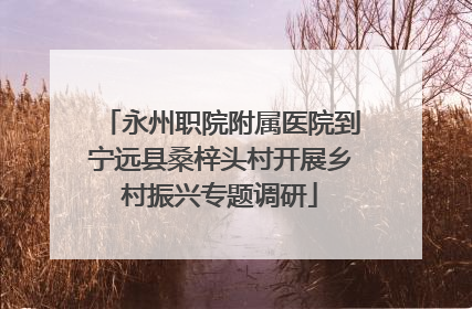 永州职院附属医院到宁远县桑梓头村开展乡村振兴专题调研