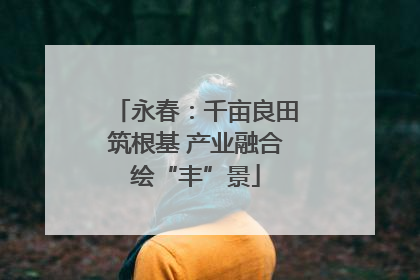 永春：千亩良田筑根基 产业融合绘“丰”景